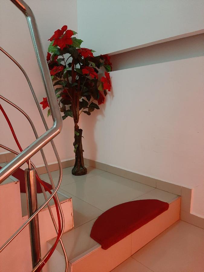 Vila Dolly Hotel Busteni Bagian luar foto
