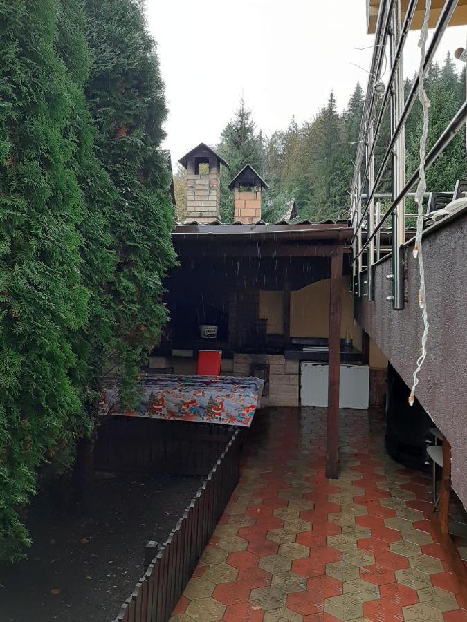 Vila Dolly Hotel Busteni Bagian luar foto